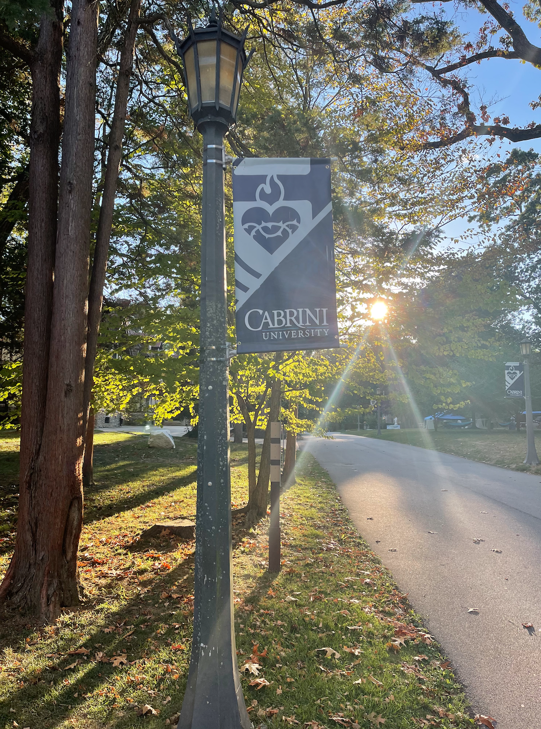 A Cabrini University sign hanging from a lamp post in the sun. 