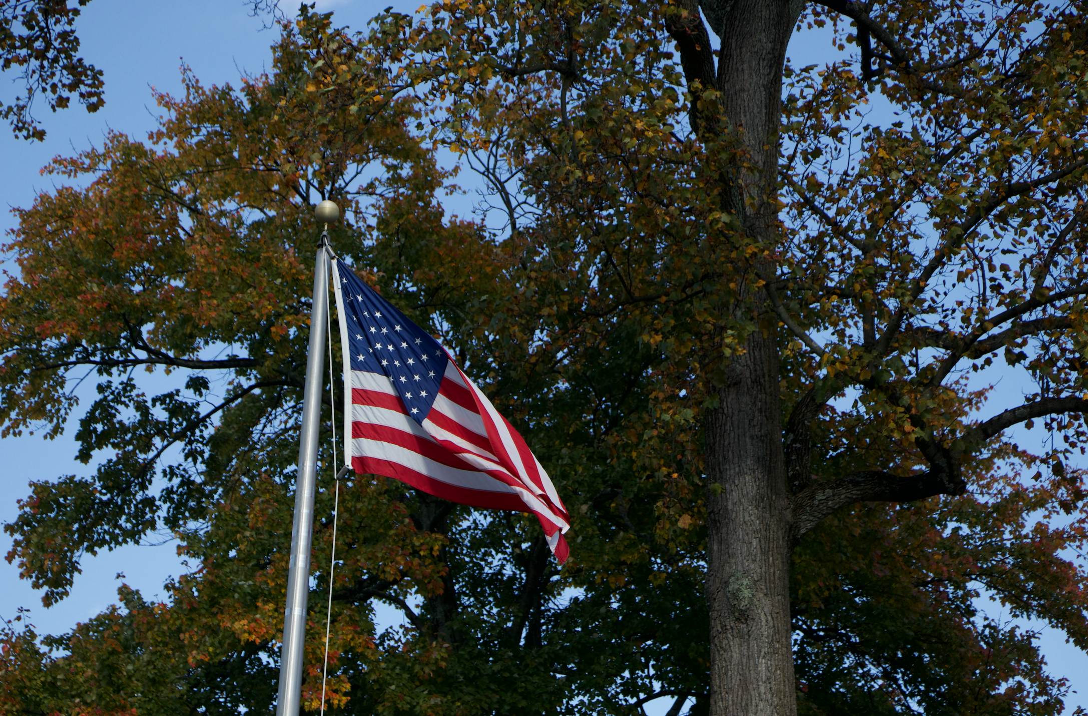 American flag blowing in the wind in front of autumn leaves. 