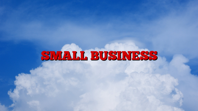 SMALL BUSINESS