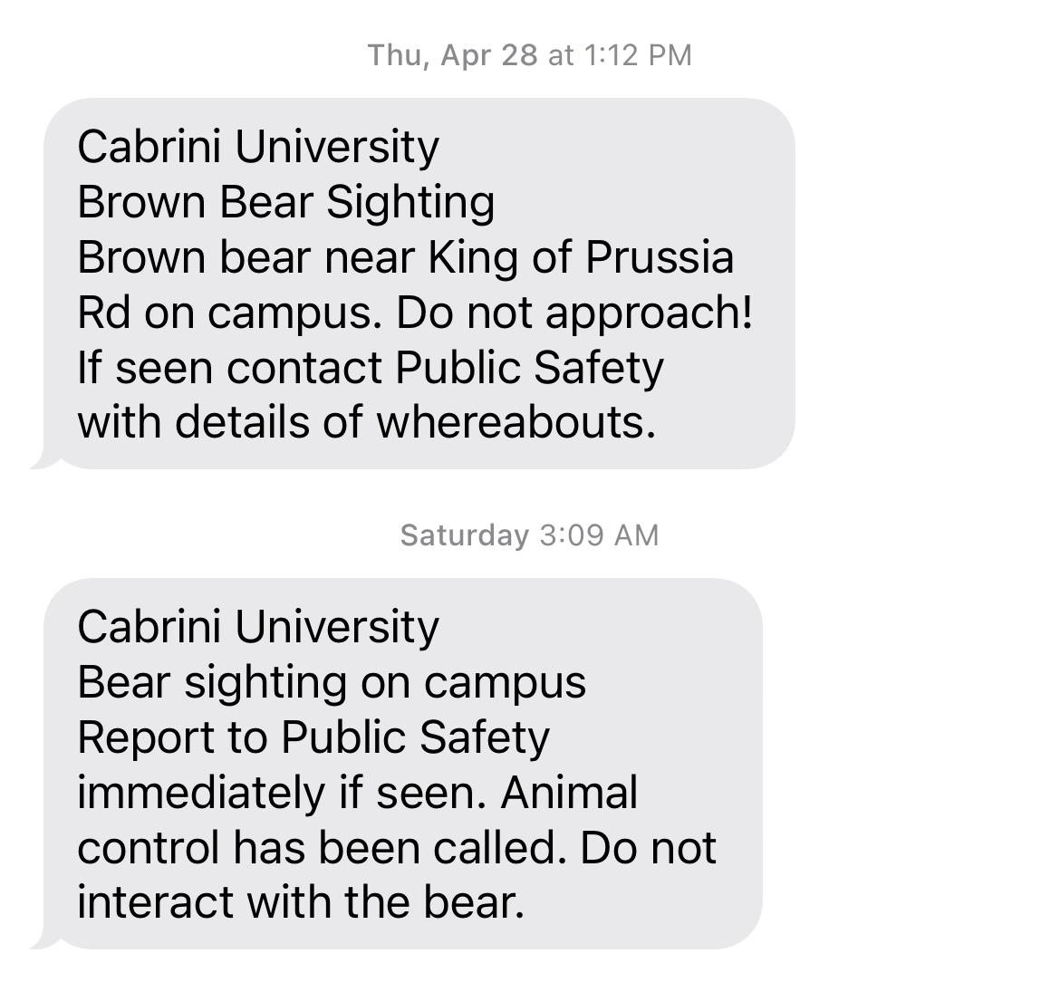 iMessage screen of two text bubbles both warning about a bear sighting.