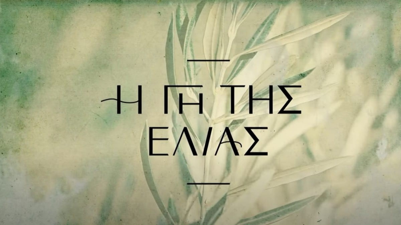 Γη της Ελιάς: Η Βασιλική ετοιμάζει τεράστια έκπληξη στην Άννα για το γλέντι του γάμου | Zappit