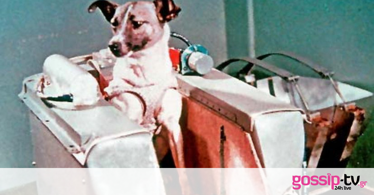 Η τραγική αλήθεια που έκρυψαν οι Σοβιετικοί για τη Λάικα, το πρώτο σκυλί στο διάστημα