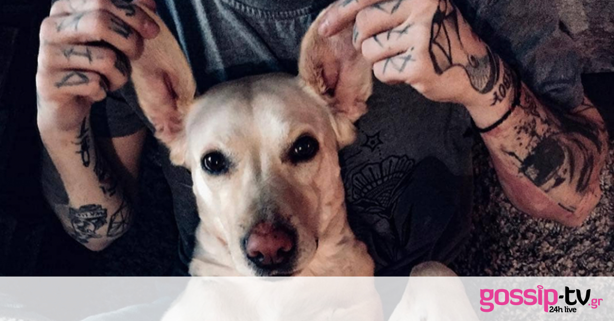 Ποιού Έλληνα τραγουδιστή είναι αυτός ο όμορφος σκύλος;