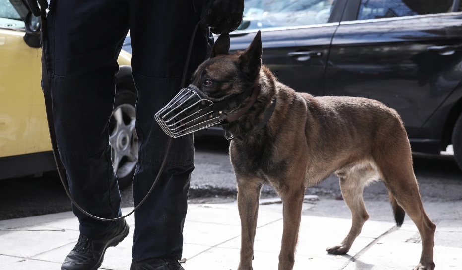 Θρίλερ δίχως τέλος στην Αχαΐα… Νέα συγκλονιστικά στοιχεία για το έγκλημα που συγκλόνισε – Zinapost.gr