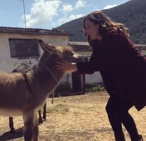 Μπάγια Αντωνοπούλου: Εντυπωσιασμένη από τη συνάντησή της με τα πιο… συμπαθητικά γαϊδουράκια! video – TLIFE