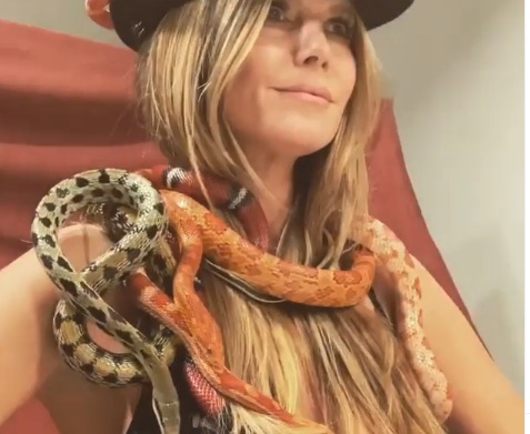 heidifidia1