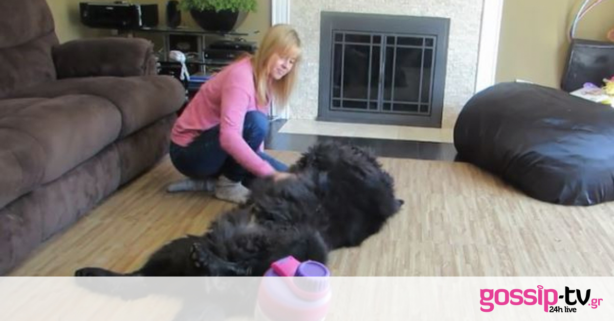 Αυτός ο αξιολάτρευτος σκύλος τρελαίνεται για χάδια (Video)