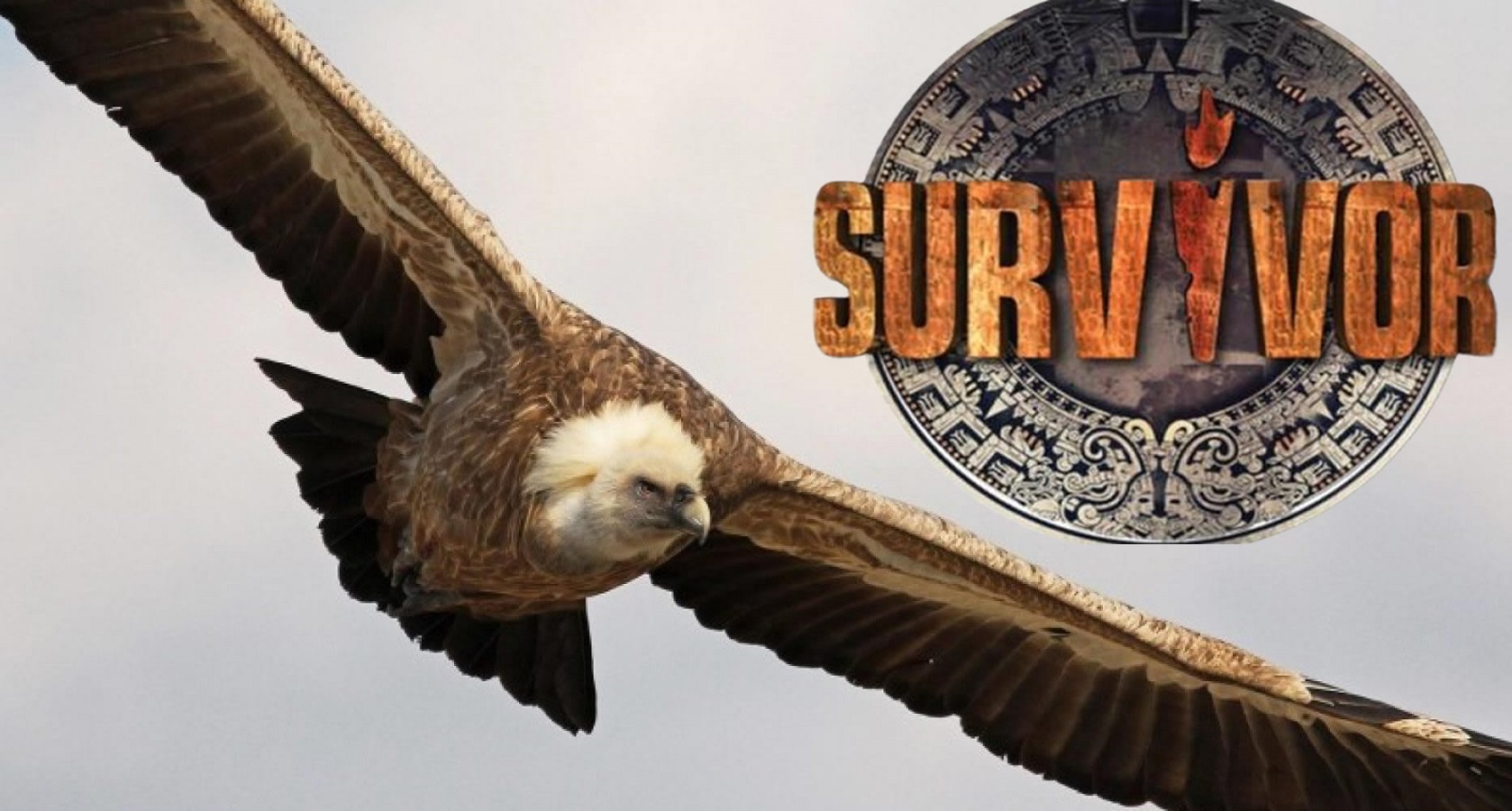 Survivor Spoiler: Ο Γύπας του ριάλιτι. Ρώτησε το Γιώργο Λιανό αν η Σταυρούλα Χρυσαειδή είναι Single