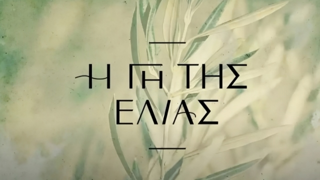 “Η Γη της Ελιάς”: Οι 10 συγκλονιστικές σκηνές του πρώτου επεισοδίου