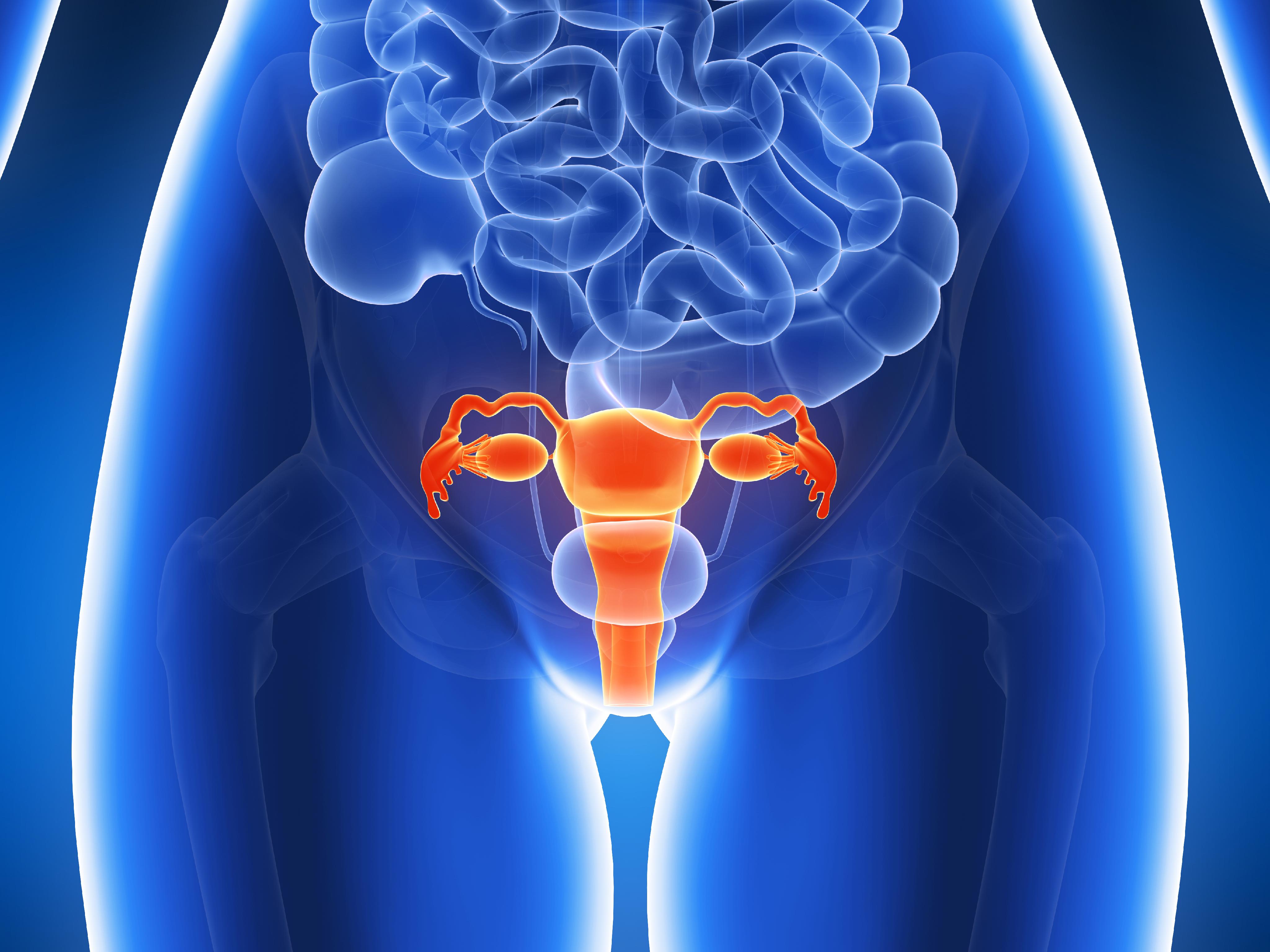 DISEASE OF THE UTERUS