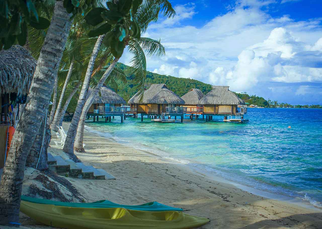 A Paradise for Holiday A Paradise for Holiday