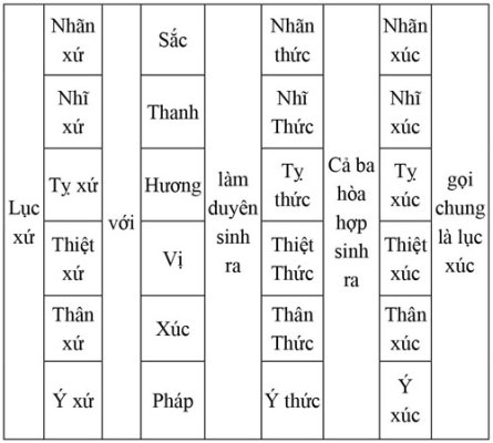 anh16(59.2)