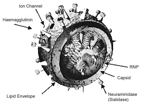 a1