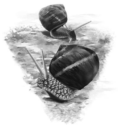 trai_tim_nguoi_cha_7