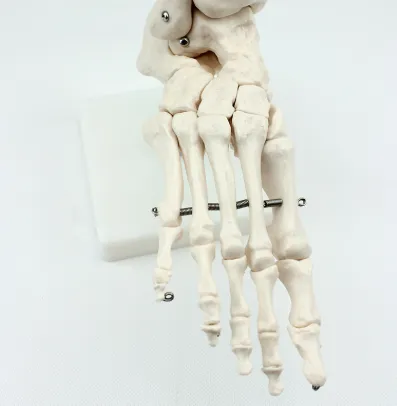 Comprehensive foot health system overview