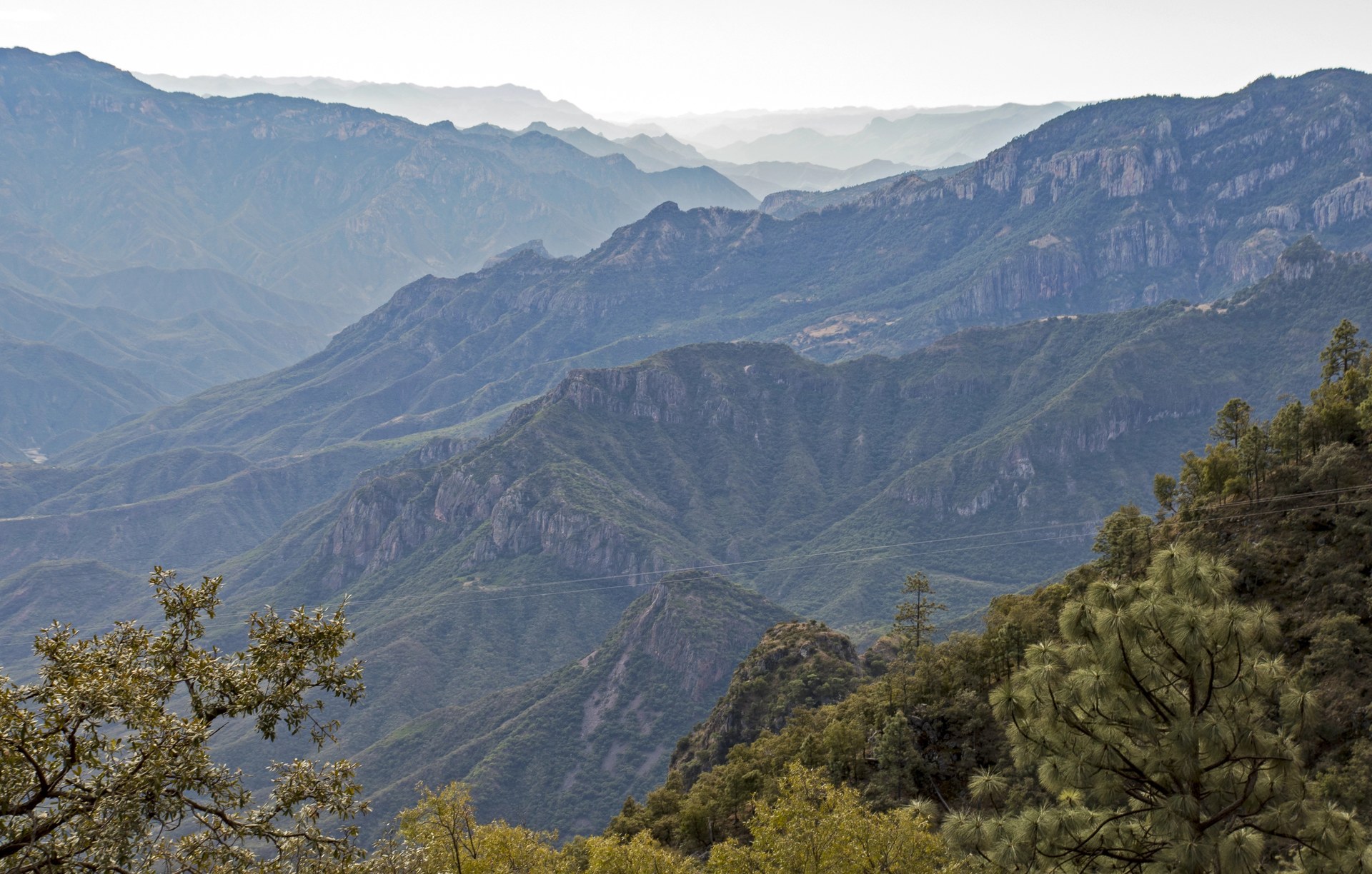 Capas de montañas con bosque que se difuminan en la bruma sobre la barranca de Urique