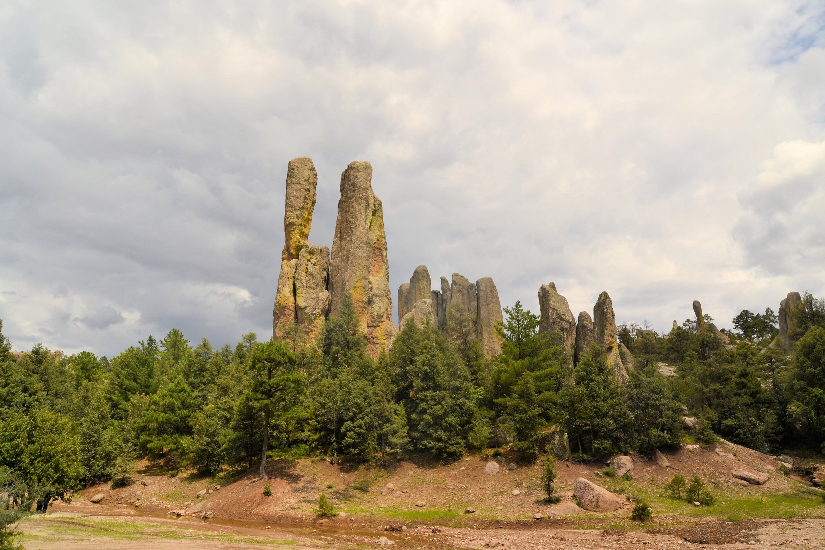 Tall rock pillars of the Valley of the Monks near Creel, rising above a pine forest