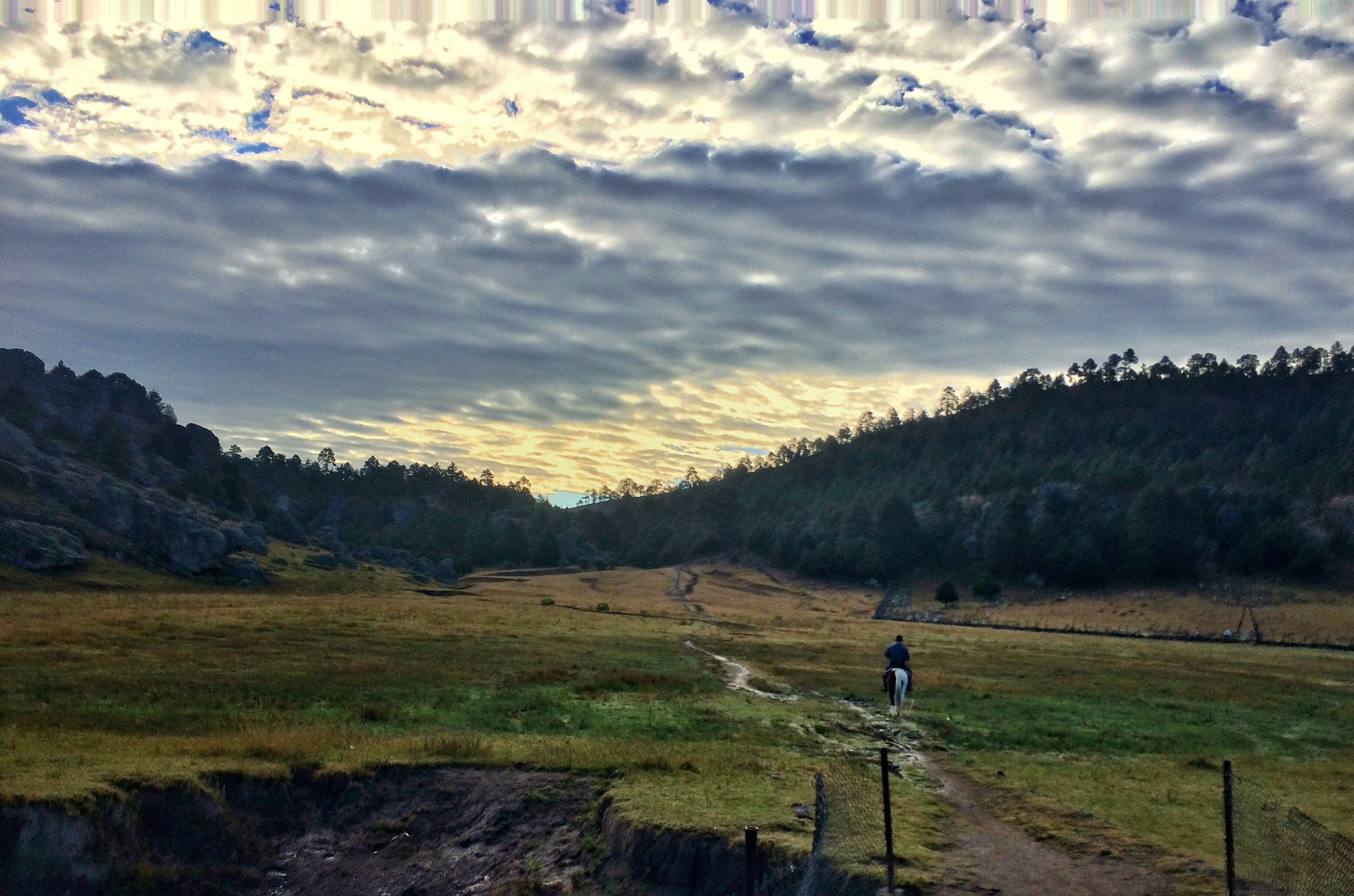 A dirt track crossing a high valley near Creel at first light, mackerel clouds over the pine ridges