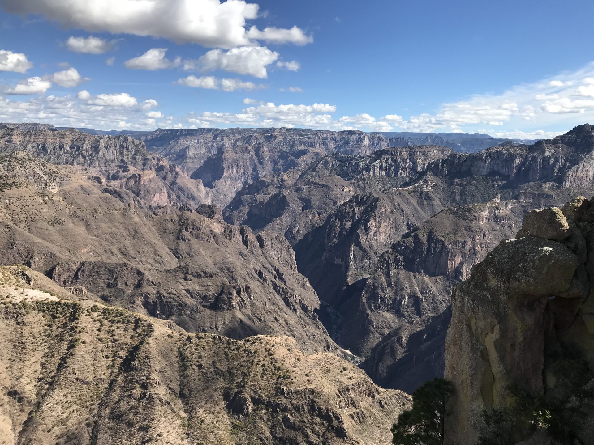 A deep canyon with bare rock walls and scrub, seen from the rim at Divisadero