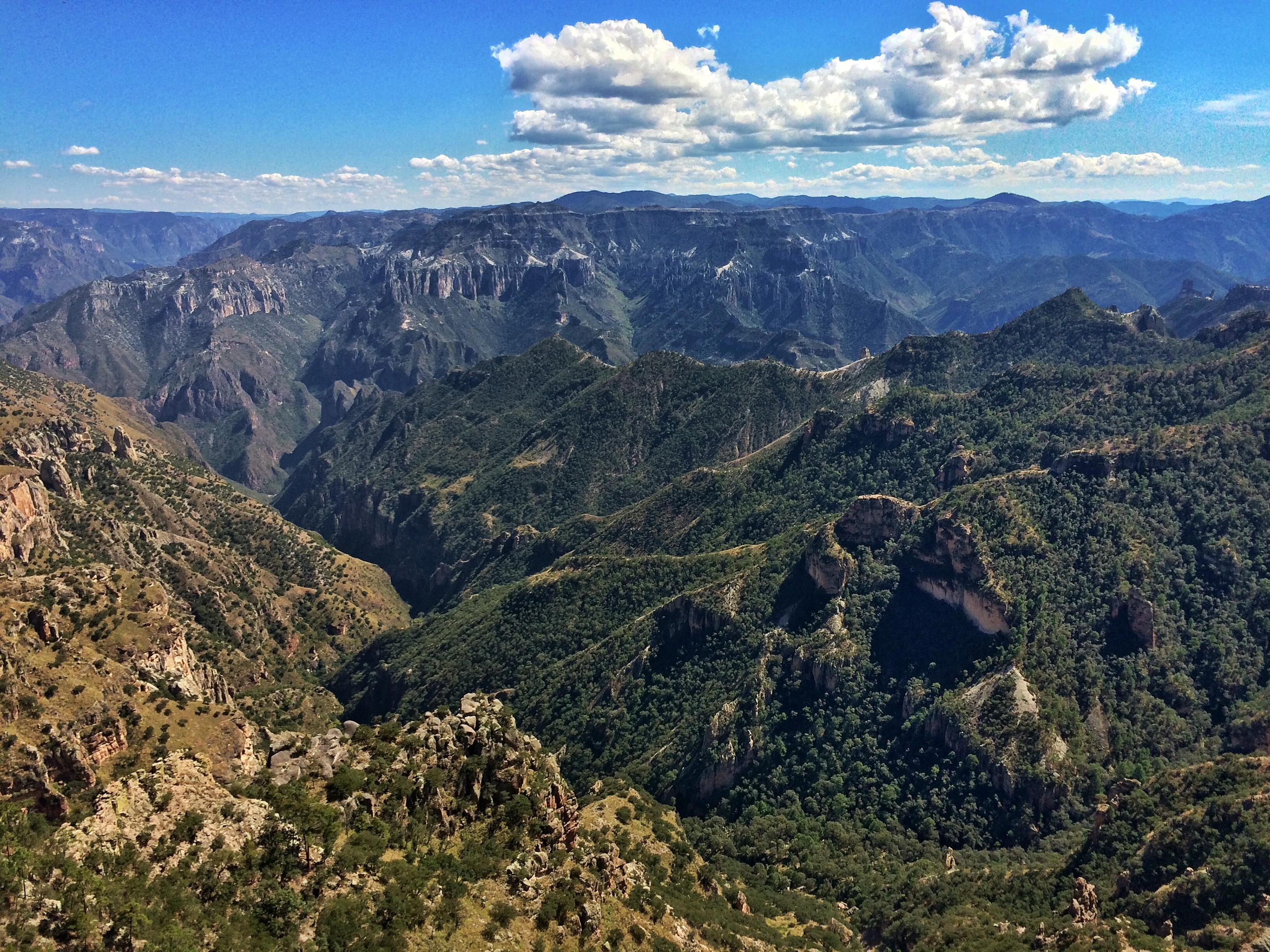Der Copper Canyon öffnet sich unterhalb des Rands bei Divisadero, Grat hinter Grat bis zum Horizont