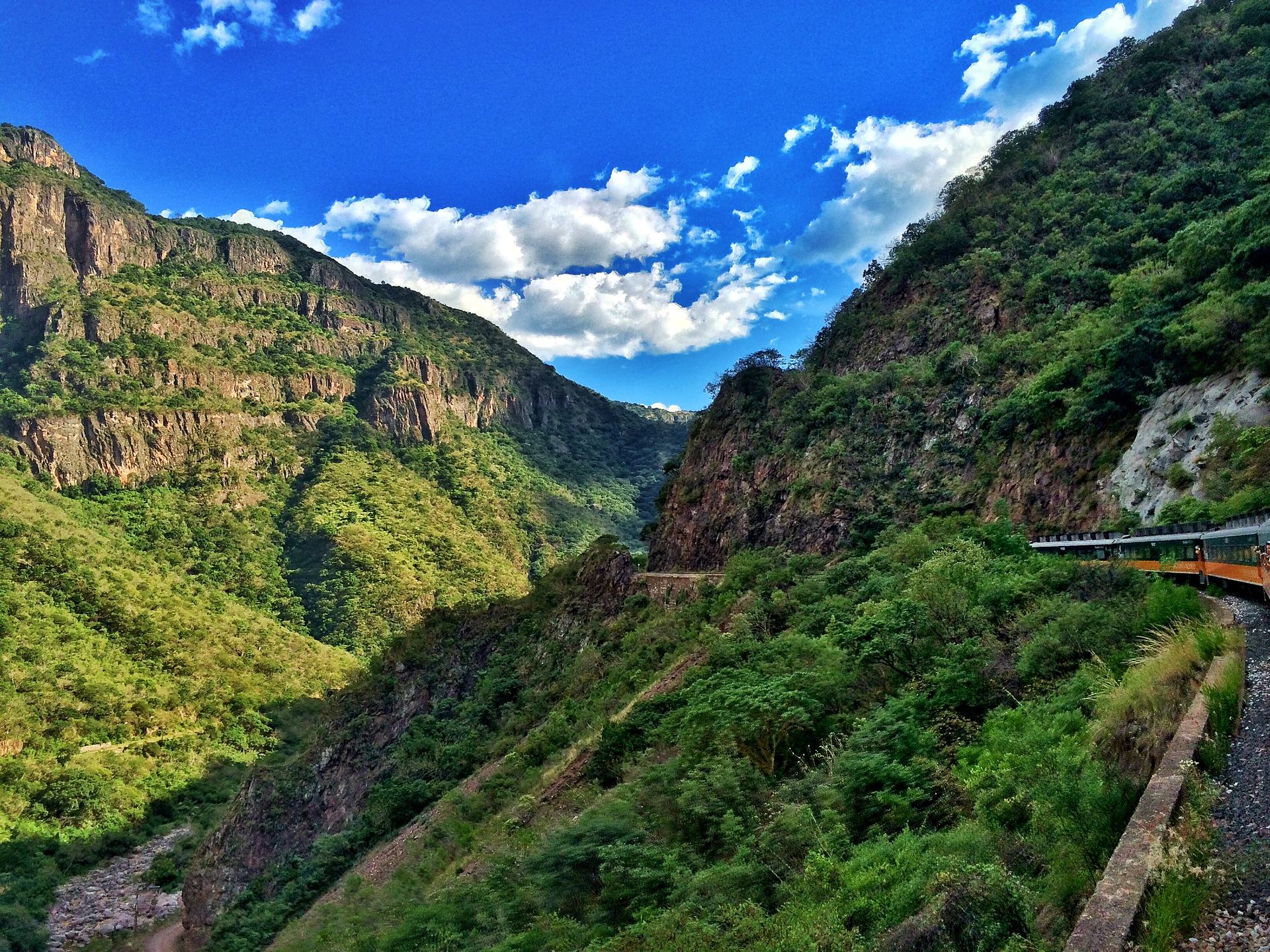 El Chepe avanzando junto a una pared verde de la barranca, visto desde una ventana al final del tren