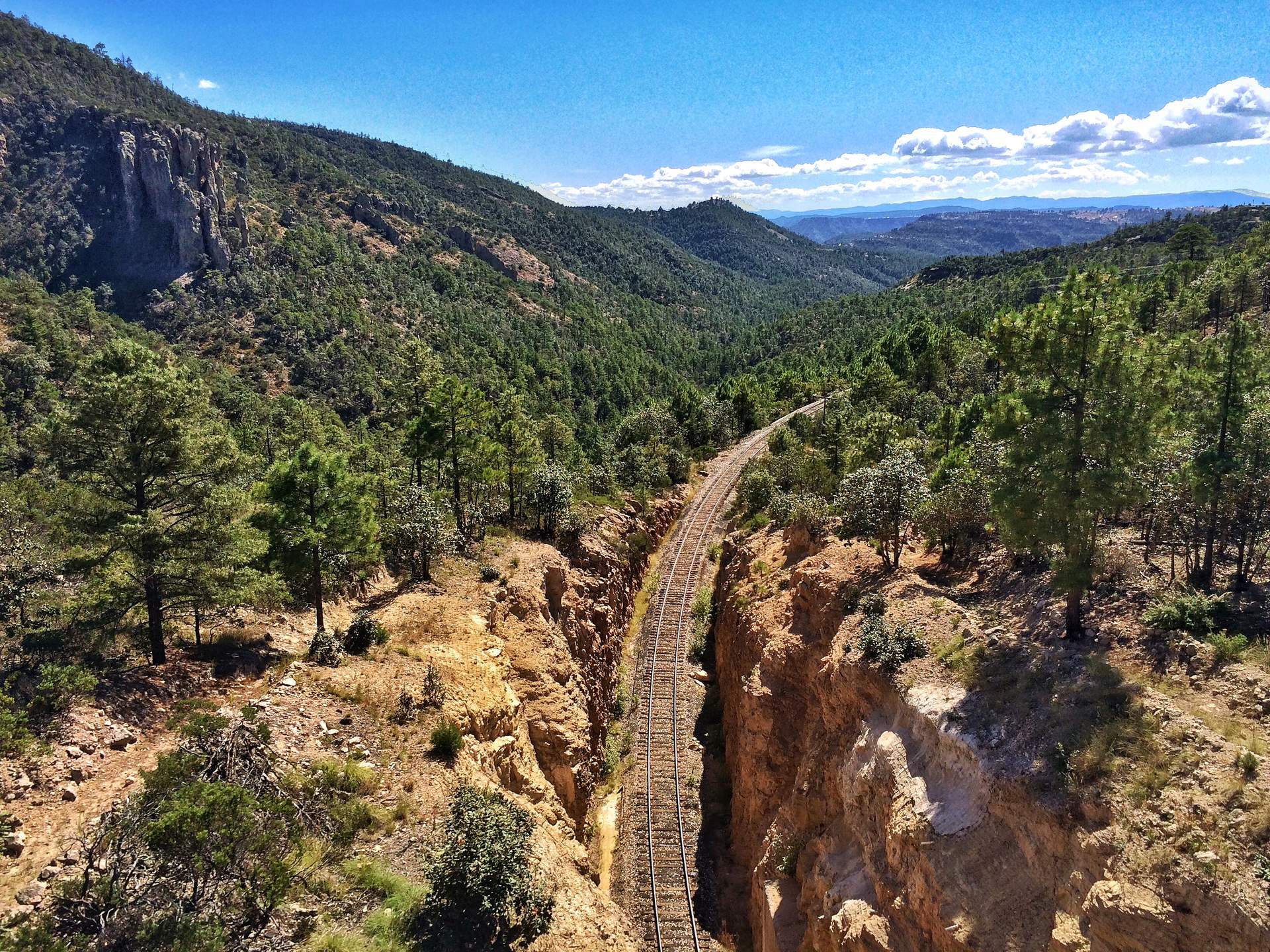 Una sola vía de tren que atraviesa una barranca angosta con pinos, vista desde arriba