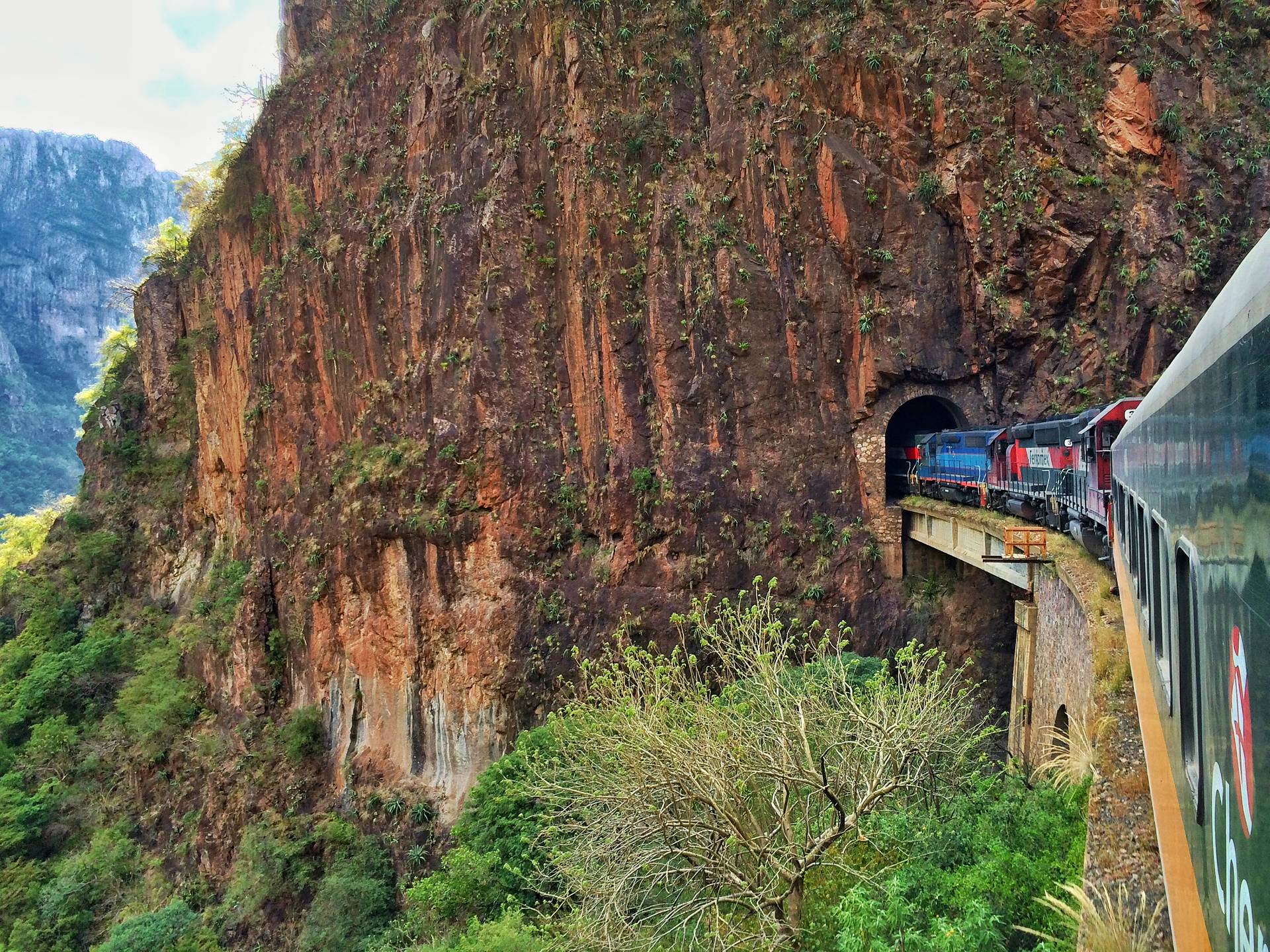 The front of El Chepe entering a tunnel at the foot of an orange rock cliff, seen from a window of the train