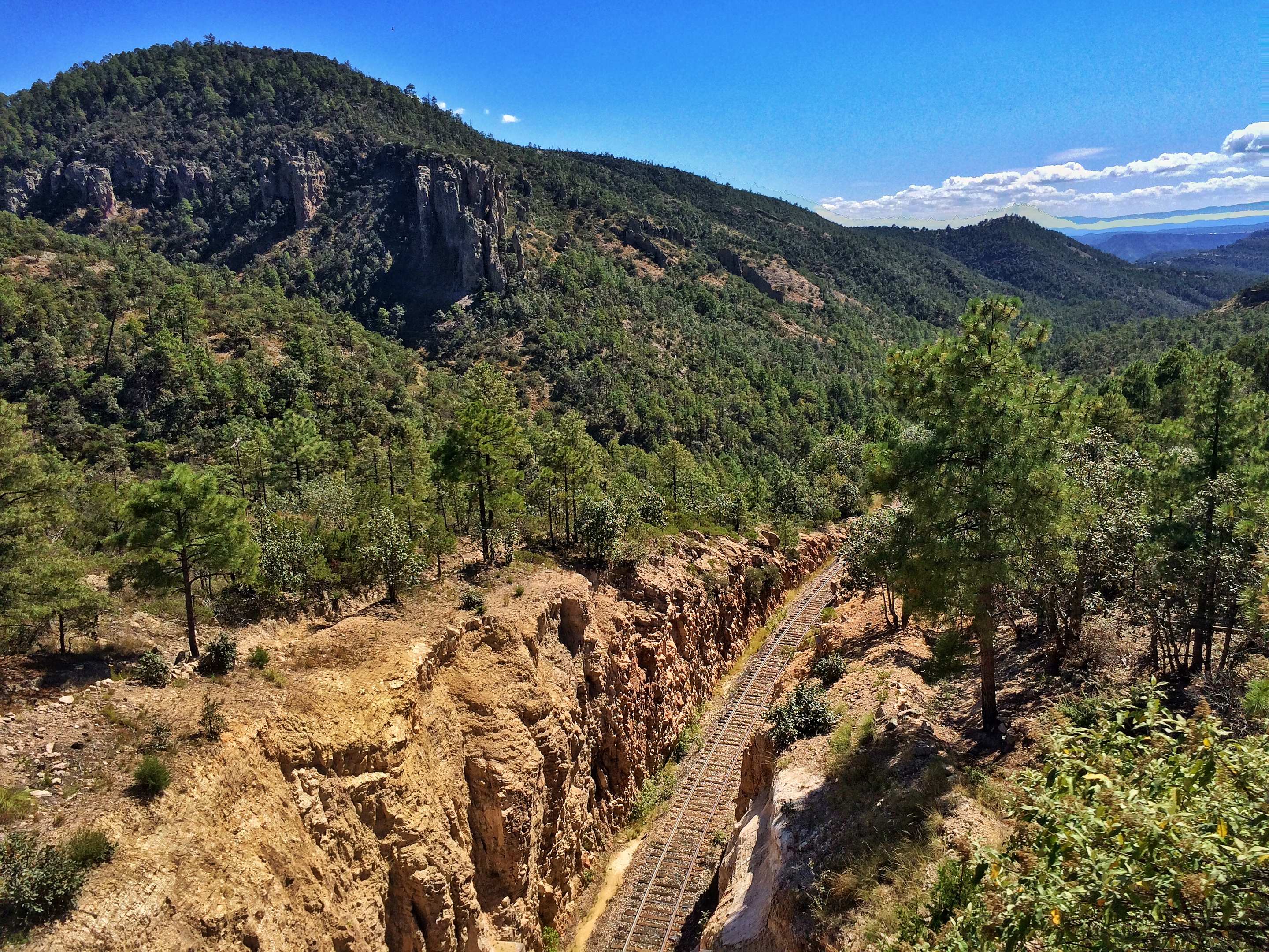 The single track cut into a rocky ravine, climbing through pine-covered sierra