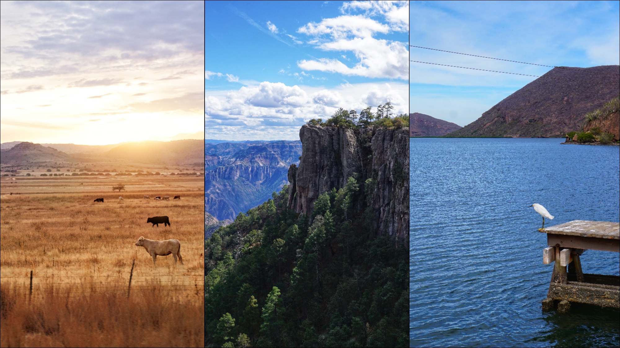 Landschaften des Copper Canyon