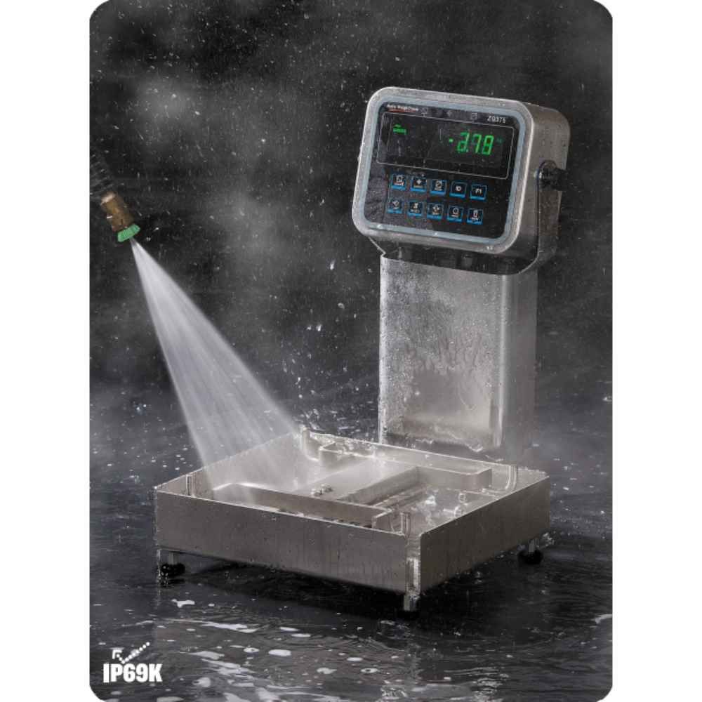 Industrial Waterproof Platform Weighing Scale | Checkweighing solutions for food processing | Avery Weigh-Tronix - Image 2