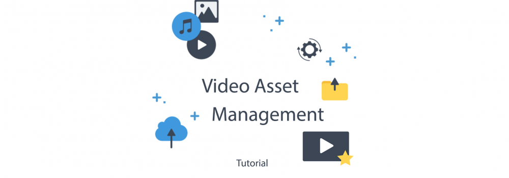 Video Asset Management