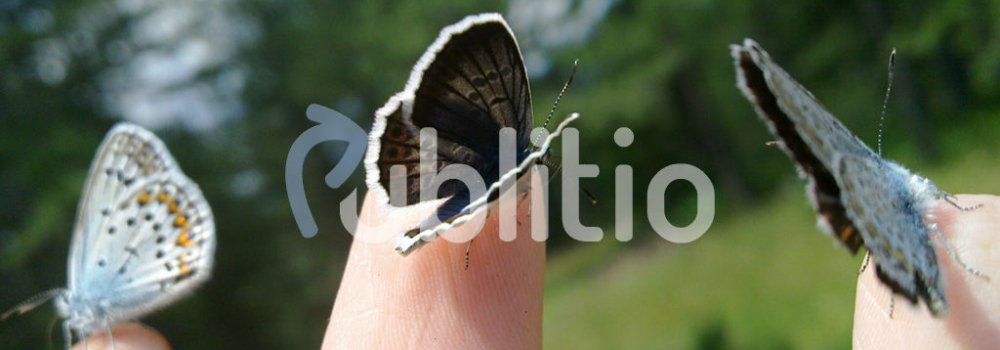 Watermarking images and videos with Publitio