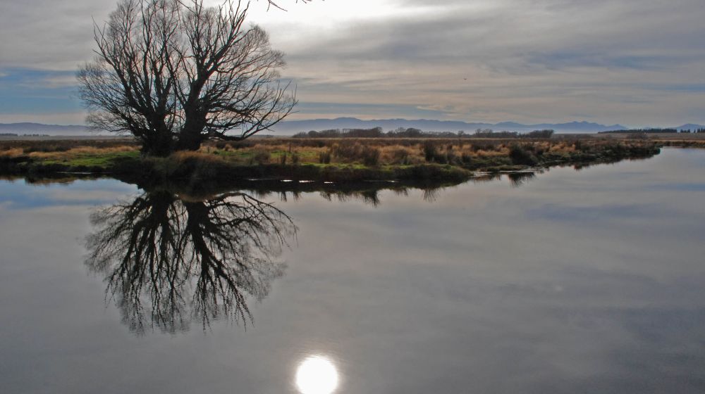 Taieri River, downstream of SH87 bridge at Outram on NiceFish