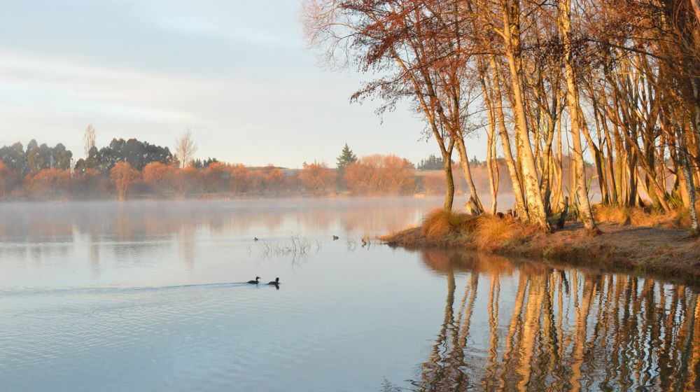 Lake Roto Kohatu on NiceFish