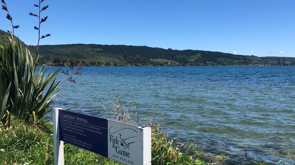 Lake Rotoiti on NiceFish