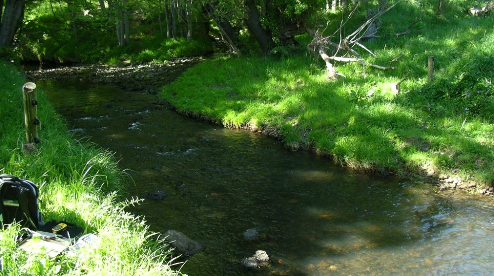 Okuti River on NiceFish