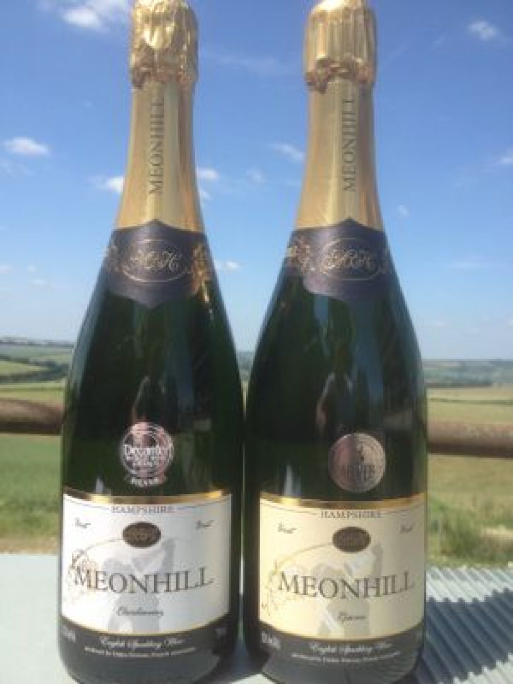meonhill blog