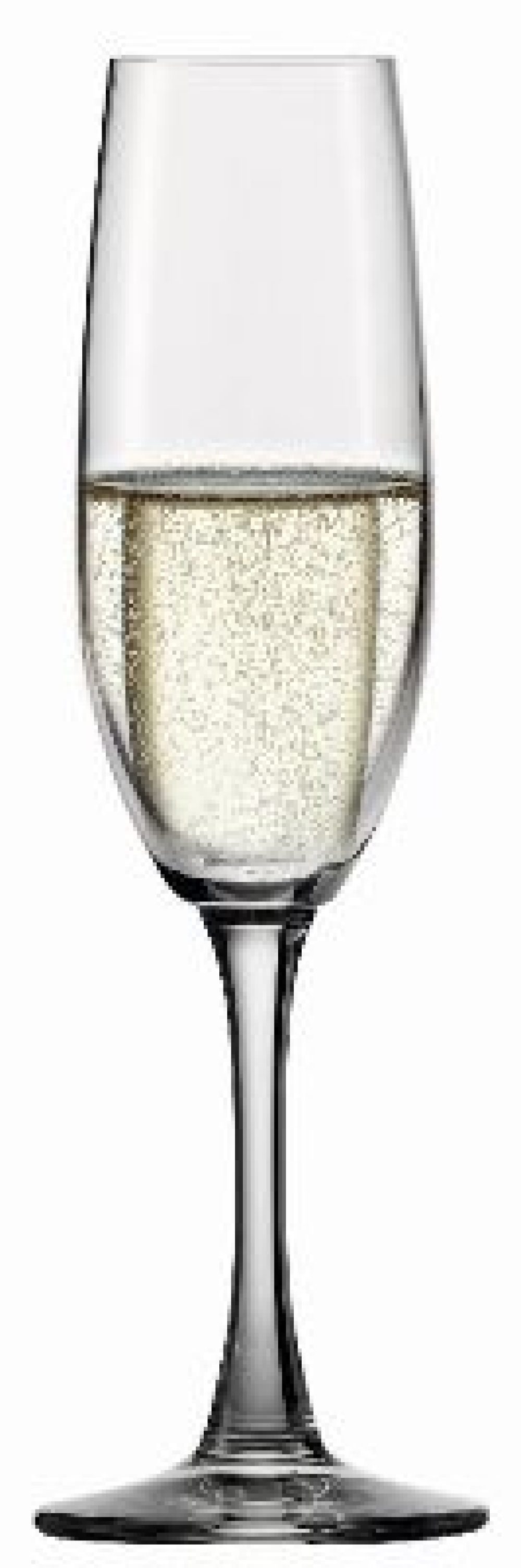 Winelovers Champagne Flute blog