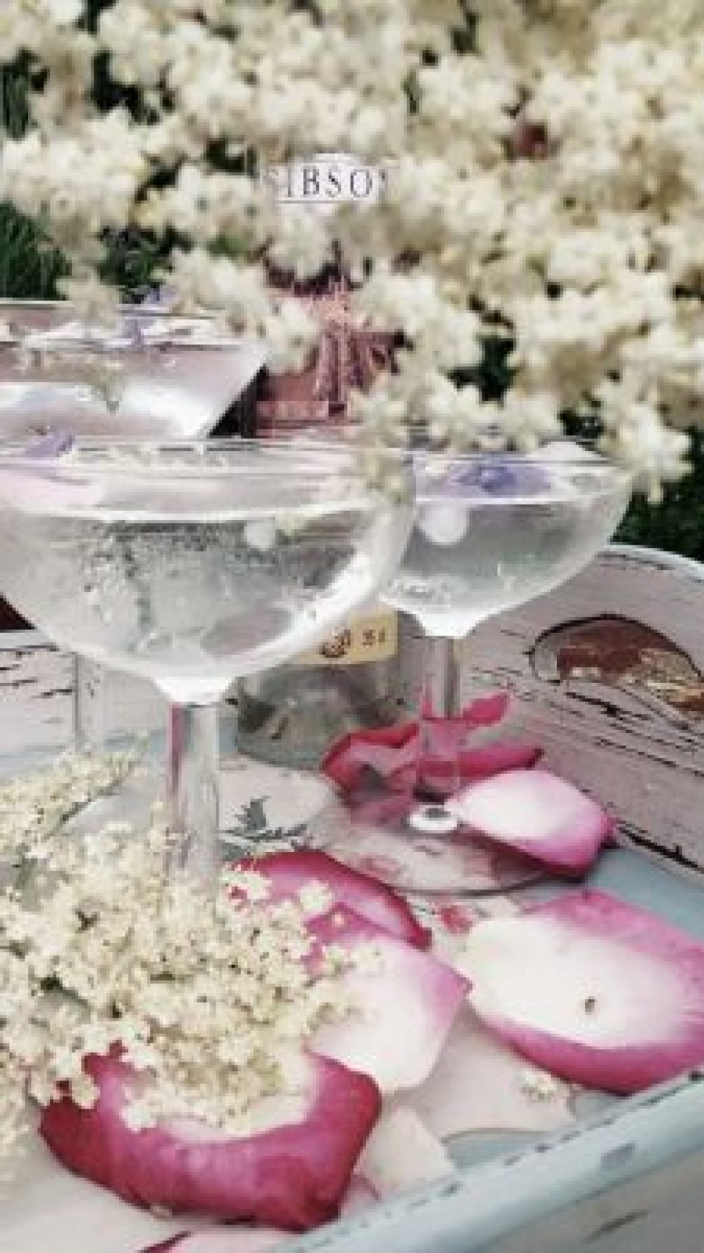 elderflower blog
