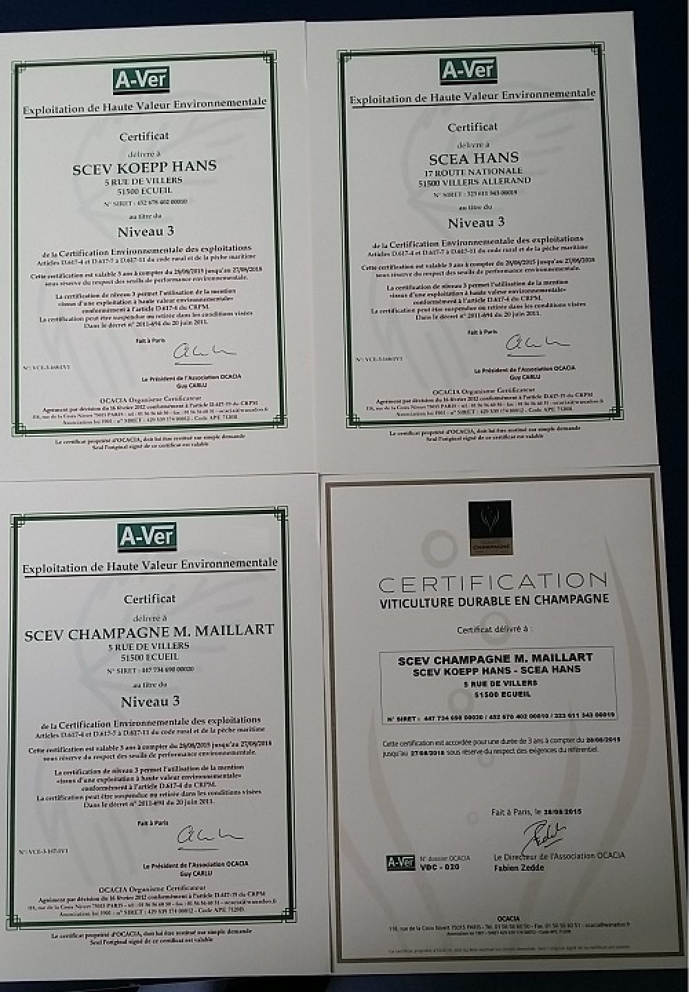 Nicolas certificates small