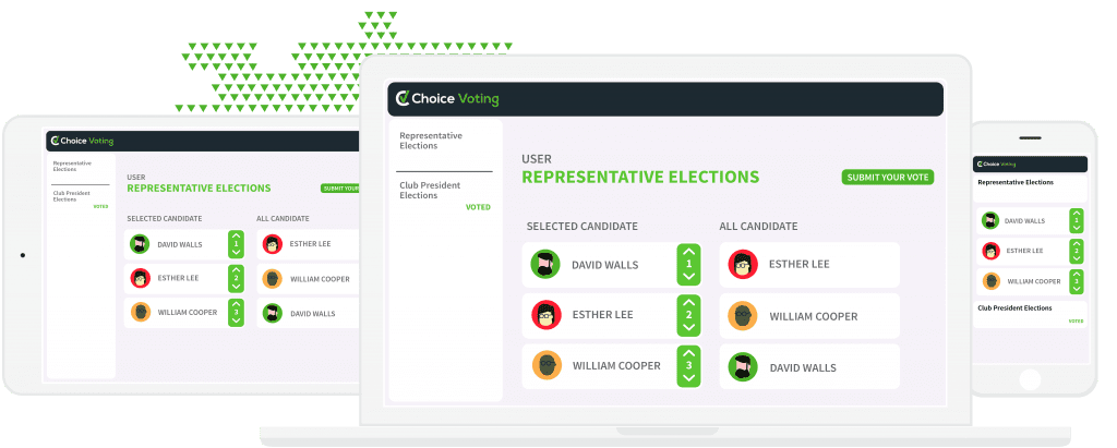 choice_voting-08-1 choice_voting-08-1