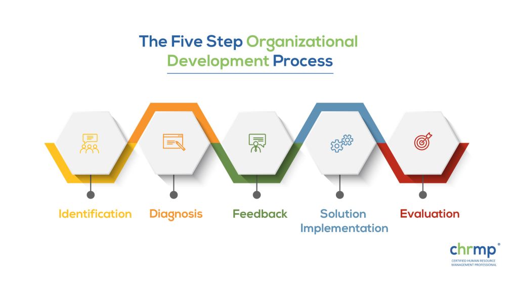 The Five Step Organizational Development Process