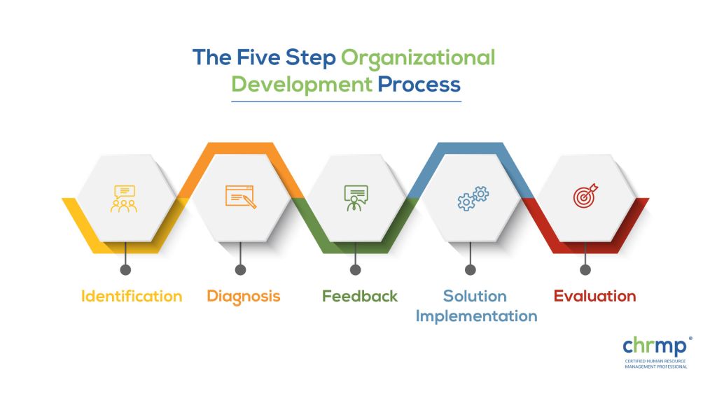 Organisational Development Ultimate Guide [5 Tips Included]