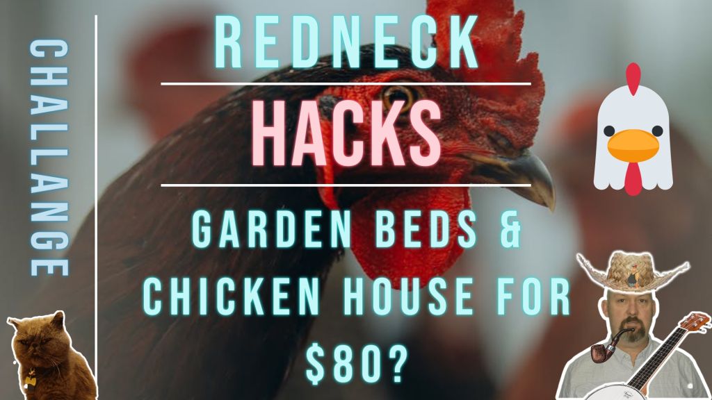 Redneck Resort: Chicken coop and garden beds for $100 (dirt cheap) 1 Climate Change Presentation Template
