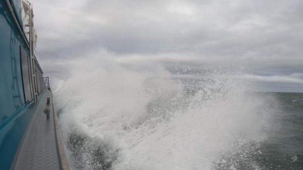 Foveaux Strait ferry
