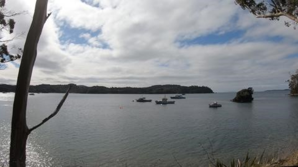 Stewart Island boats