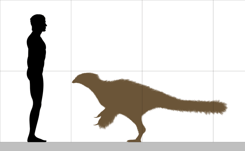 Beipiaosaurus Größenvergleich
