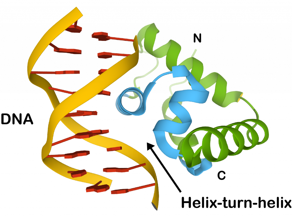 STRUCTURAL GENOMICS AND PROTEOMICS