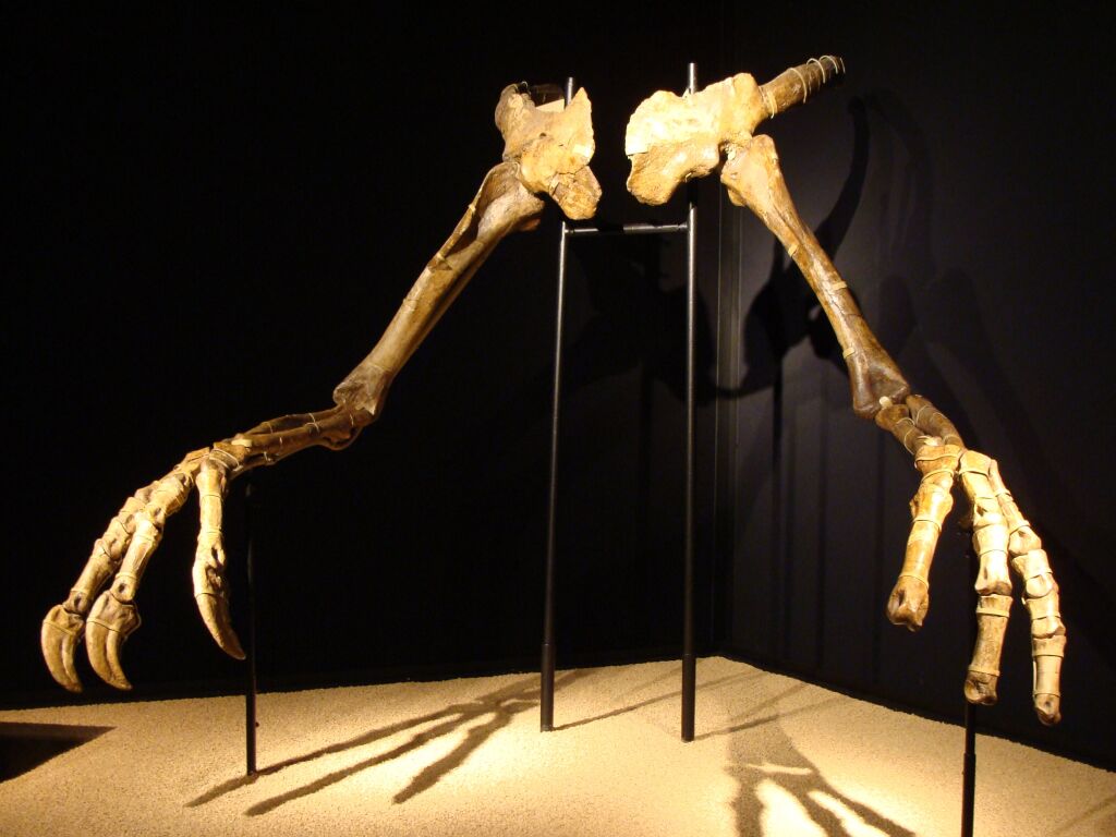 Deinocheirus Arms