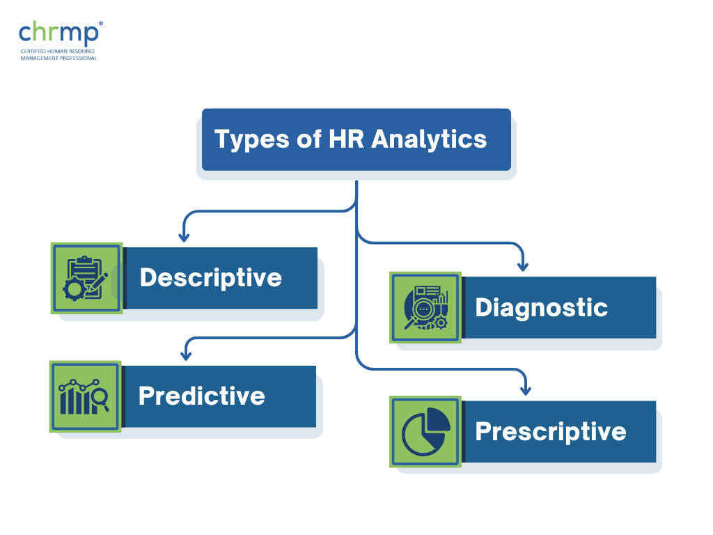 types of HR analytics
